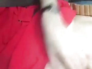 Çin ev hanımı yanıp sönen kedi